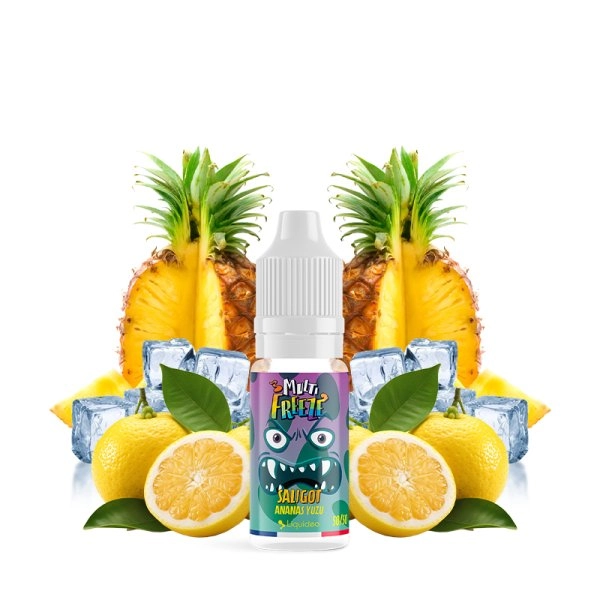 SALIGOT ANANAS YUZU 10 ML - LIQUIDEO MULTIFREEZE